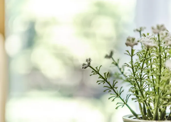 Beautiful Center Apartament Durrës